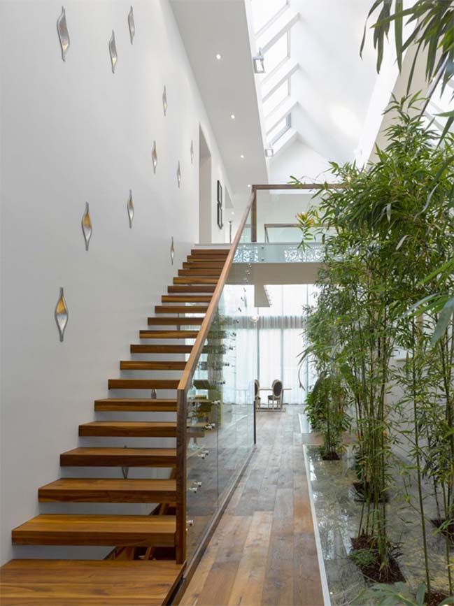Aldo House: Modern villa with an interior bamboo garden