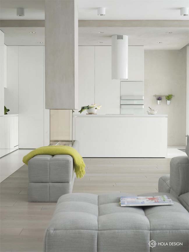 Minimalism apartment with shade of white