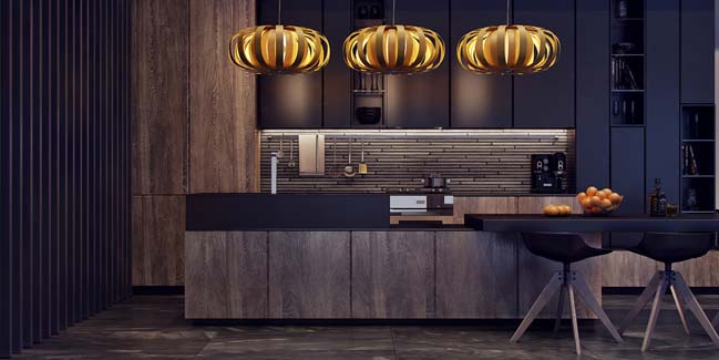 Modern kitchen with elegant dark tones