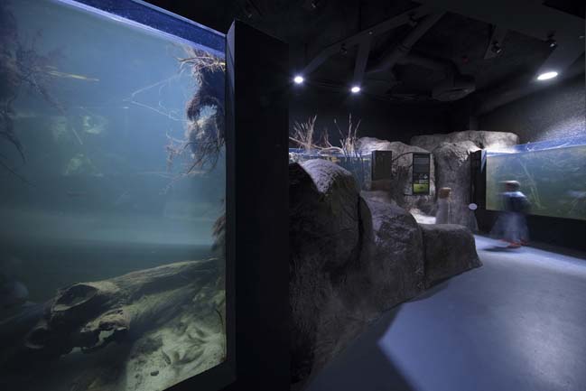 Karlovac freshwater aquarium and river museum by 3LHD