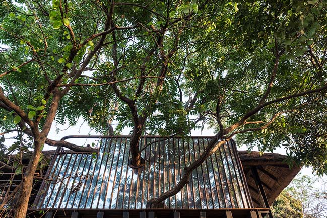 Tala Treesort by Architecture BRIO