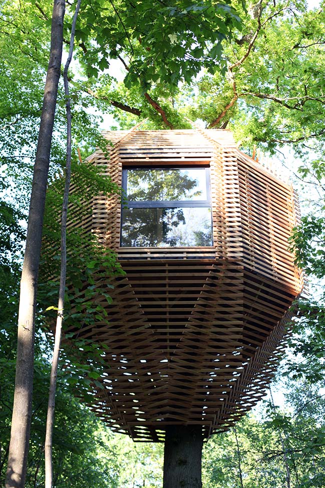 Atelier LAVIT的Origin Tree House