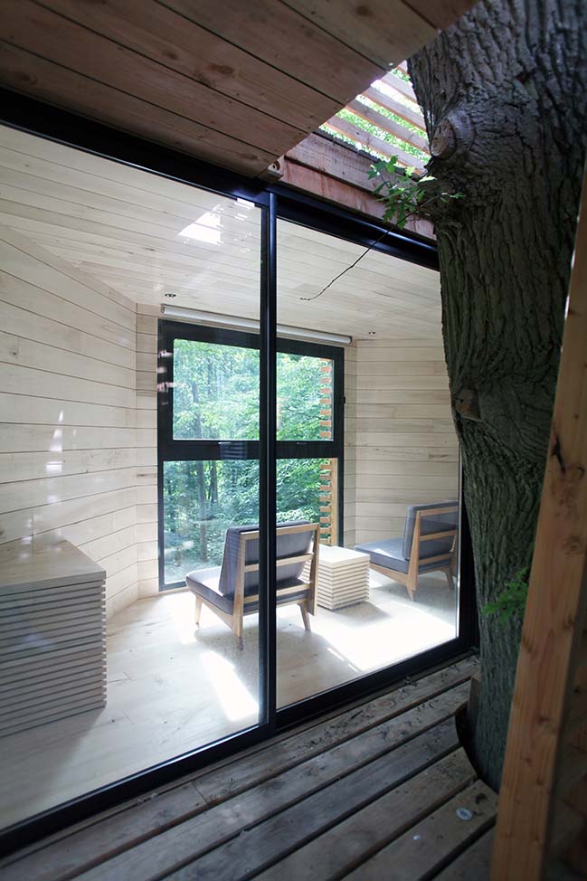 Atelier LAVIT的Origin Tree House
