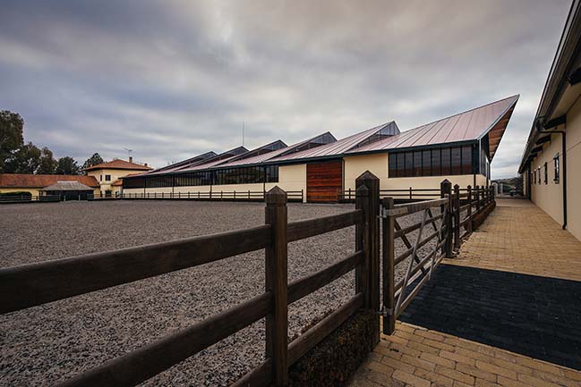 Horse Riding Field in Cattle Farm by OOIIO Architecture