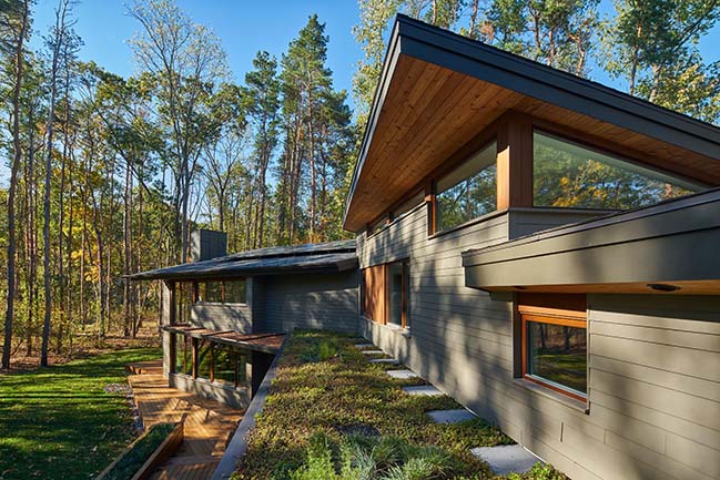 Deer Haven Residence by Mathison Architects
