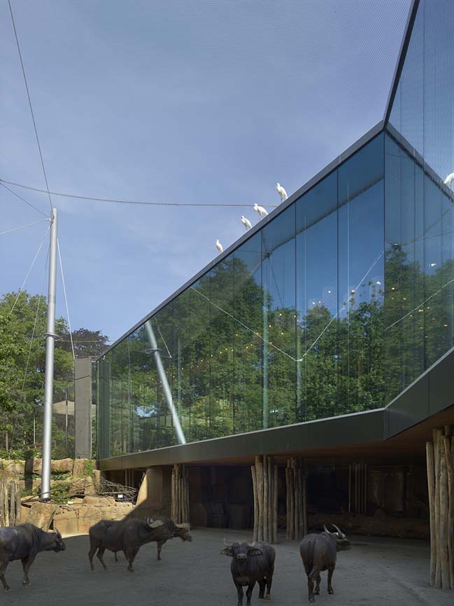 Antwerp Zoo by Studio Farris Architects