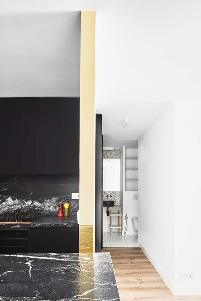 Sardenya Apartment in Barcelona by Raul Sanchez Architects