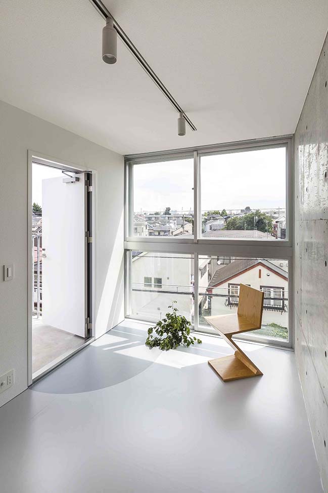 Mimosa Pudica in Tokyo by Horibe Associates