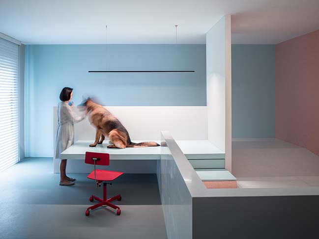 The Dog House in Beijing by Atelier About Architecture