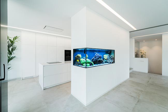 Aquarium House in Valencia by Rubén Muedra Estudio de Arquitectura