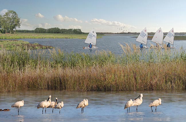 Nieuw Land National Park in Flevoland by Mecanoo