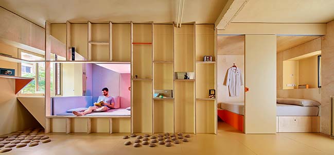 Husos Architects designs a small 46m2 apartment for a doctor and his bulldog