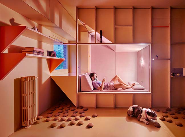Husos Architects designs a small 46m2 apartment for a doctor and his bulldog