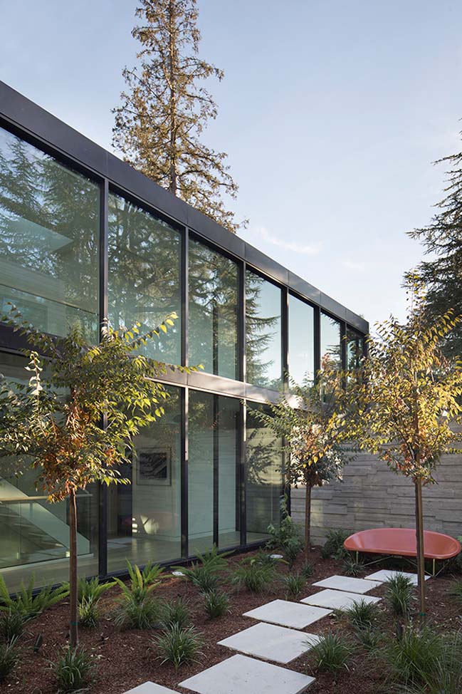 Courtyard House by John Lum Architecture