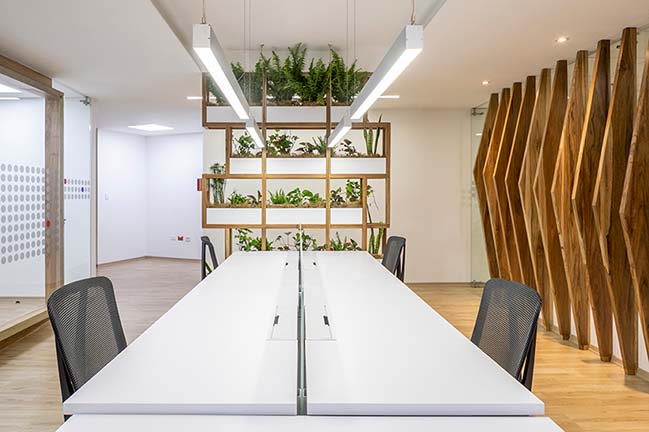 AFD Offices by ESTUDIO 685