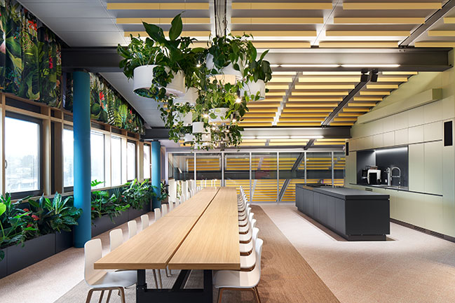 A fascinating workplace: The Maldives of design by Ippolito Fleitz Group
