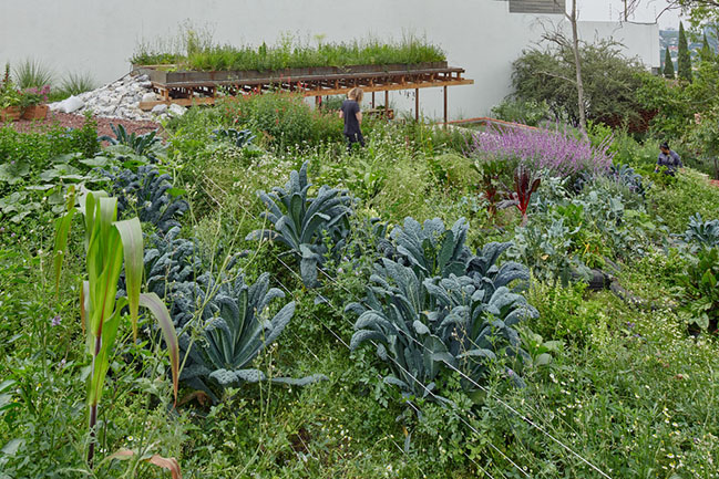 El Terreno by VERTEBRAL: Urban community garden and educational center