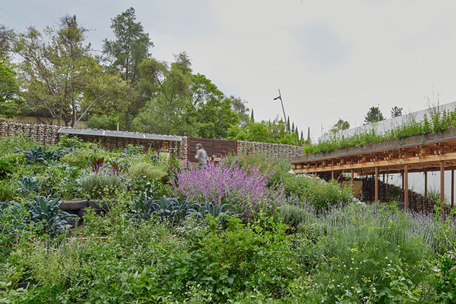El Terreno by VERTEBRAL: Urban community garden and educational center