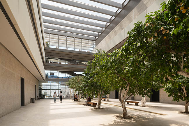 Edmond and Lily Safra Center for Brain Sciences by Foster + Partners