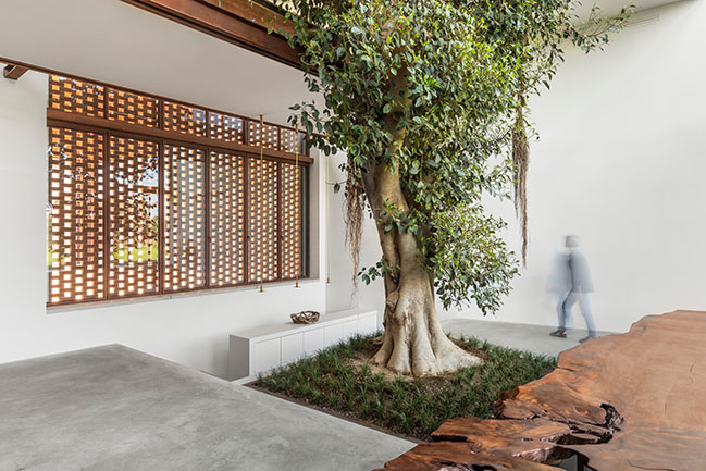 Greenary by CRA-Carlo Ratti Associati | A House Built Around a Tree