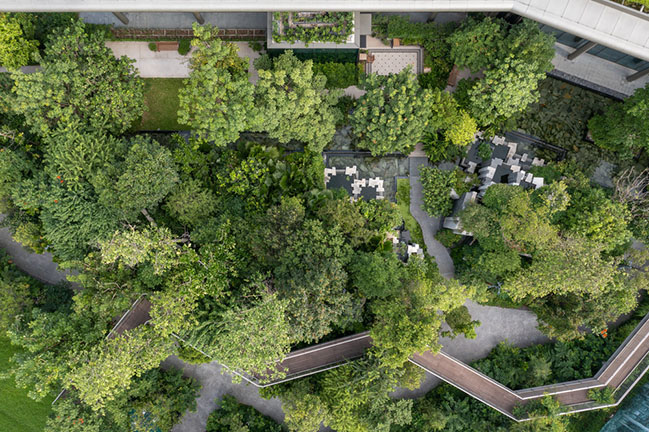 Forest Pavilion by TK Studio Co.,Ltd. | Urban forest at the center of The Forestias