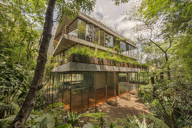 Casa Erasto by Vertebral | A house built for a garden