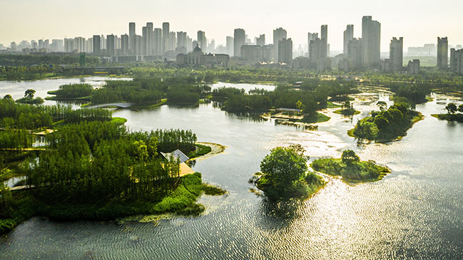 A Floating Forest: Fish Tail Park in Nanchang City by Turenscape