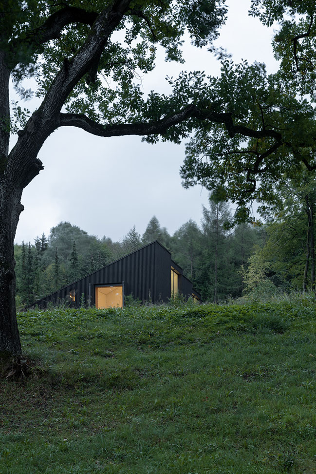 Wooden house by the lake by Appels Architekten