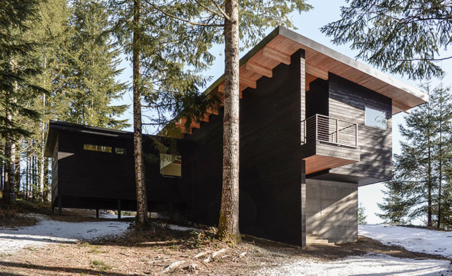 Swift Cabin by Ment Architecture LLC