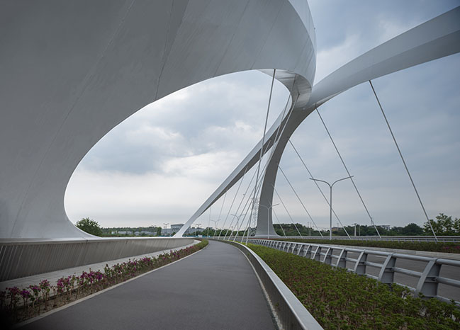 Zaha Hadid Architects completes Jiangxi River Bridge in Chengdu