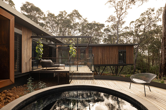 Treehouse by Suzanne Hunt Architect