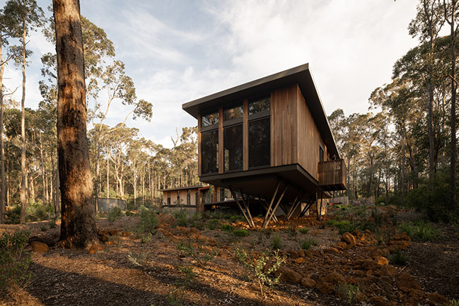 Treehouse by Suzanne Hunt Architect