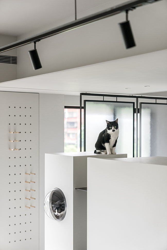 Once upon a treetop by AODA Design | A Harmonious Living Space for Humans and Pets