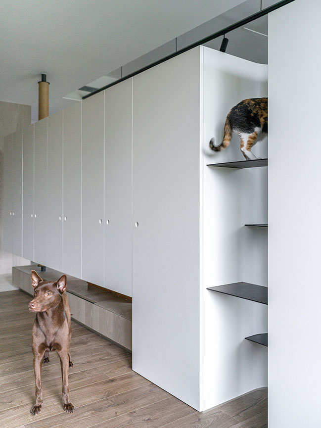 Once upon a treetop by AODA Design | A Harmonious Living Space for Humans and Pets