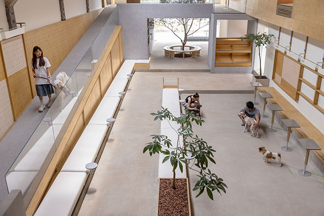 Healing pets by Informal Design | A new lifestyle destination for urban residents and pets