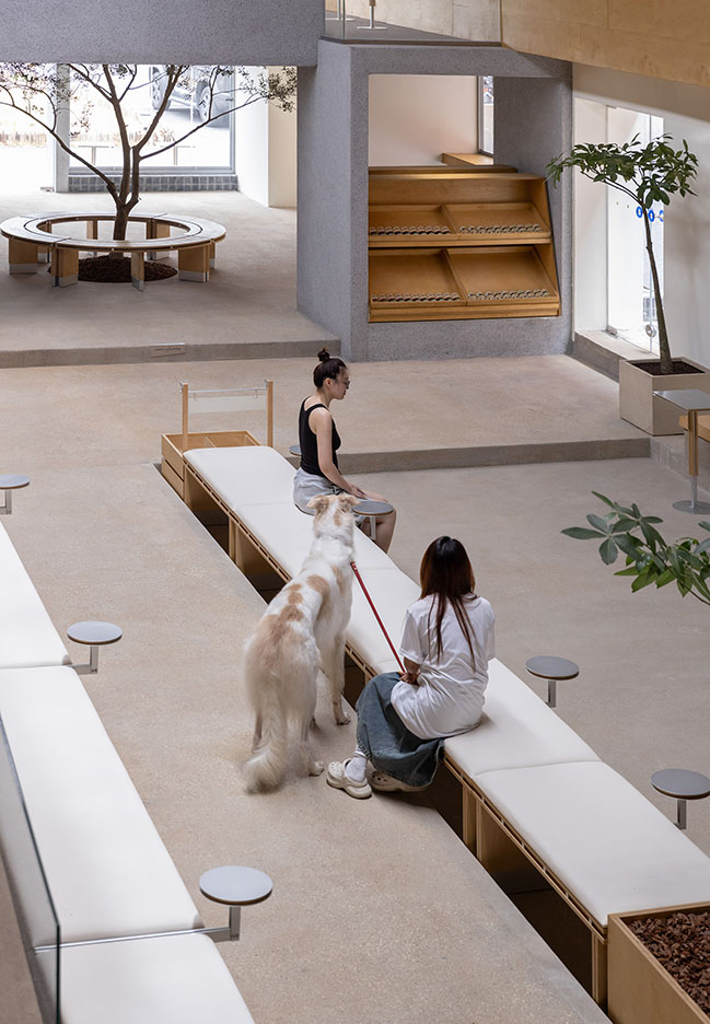 Healing pets by Informal Design | A new lifestyle destination for urban residents and pets