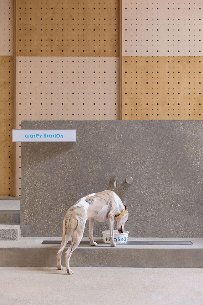 Healing pets by Informal Design | A new lifestyle destination for urban residents and pets