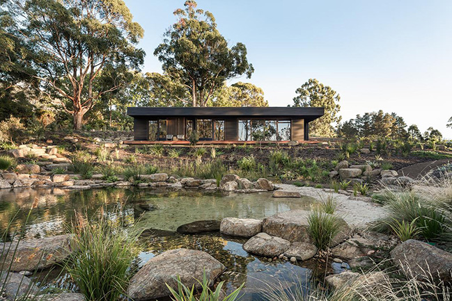 The Pond Retreat by Biotope Architecture + Interiors