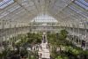 Temperate House by Donald Insall Associates