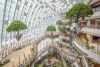 Biophilic Retail Experience by Lead8 Opens