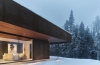 Owl's Shield House by Atelier Schwimmer